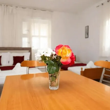 Guest house Agolli