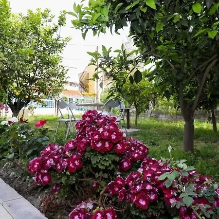 Agolli Vlore
